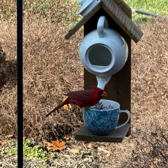 Rustic Wooden Handcrafted Bird Feeder Roses Are Red - Picture 9 of 12